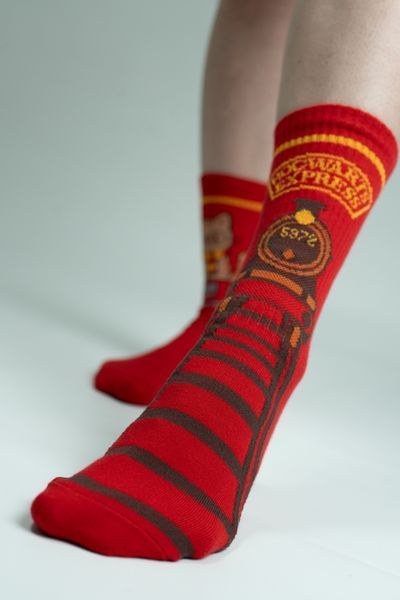 Шкарпетки з принтом "Hogwarts Express" HE-SR-39 фото