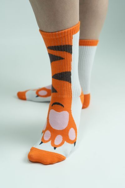Носки с принтом котика "Paws" Paw-SW-40 фото